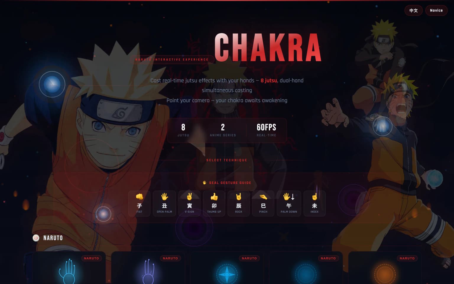 Chakra Visualizer 产品界面