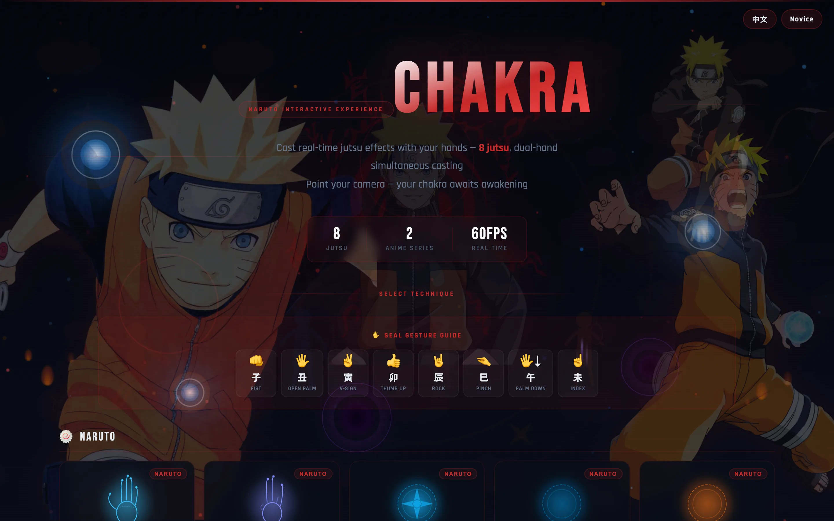 Chakra Visualizer 产品界面