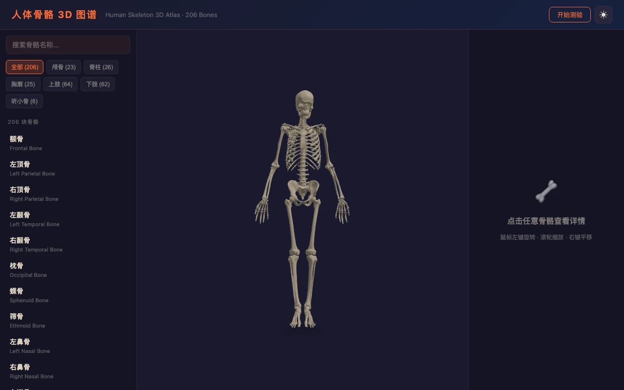 Skeleton Anatomy 三维骨骼总览