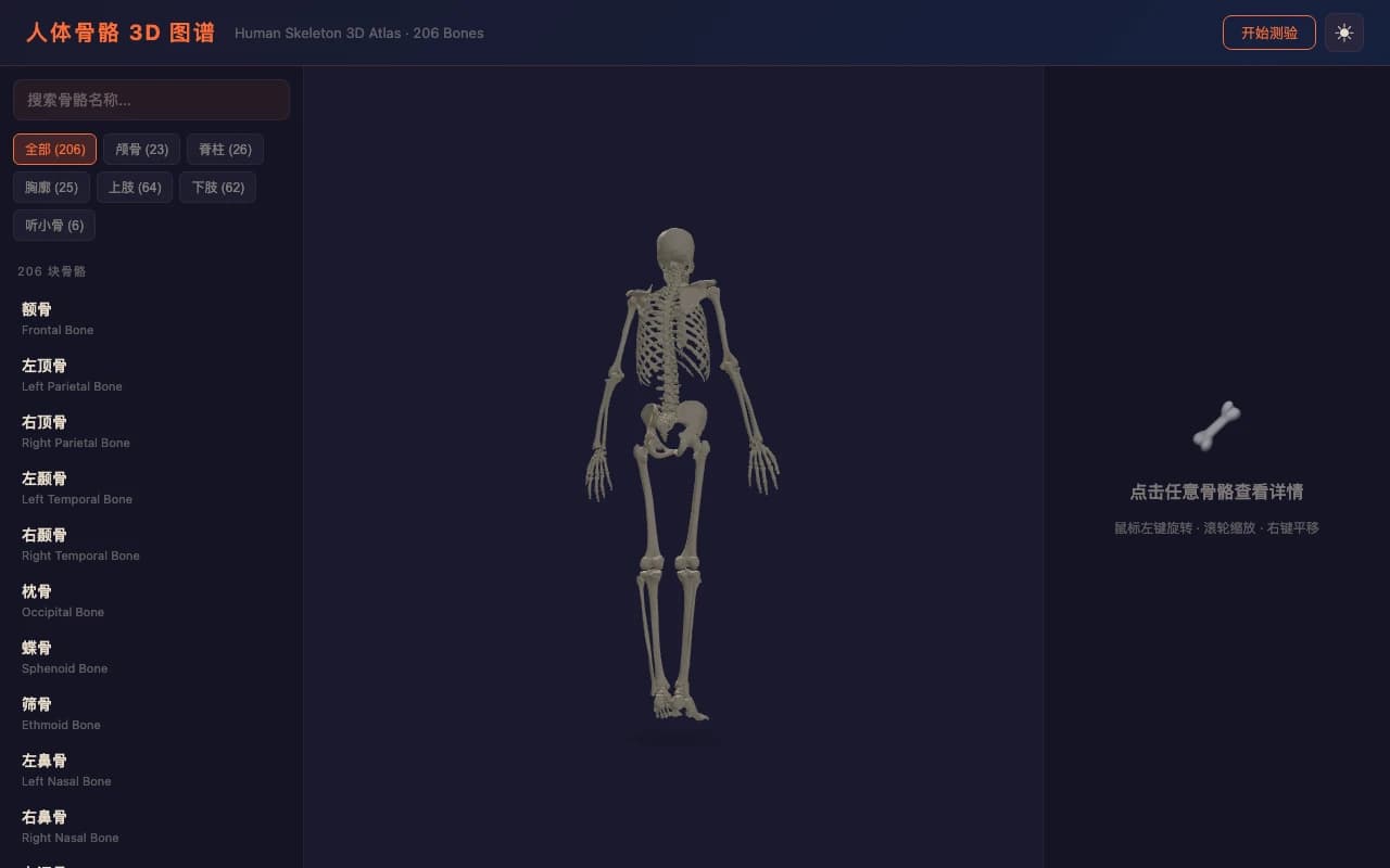 Skeleton Anatomy 骨骼详情界面